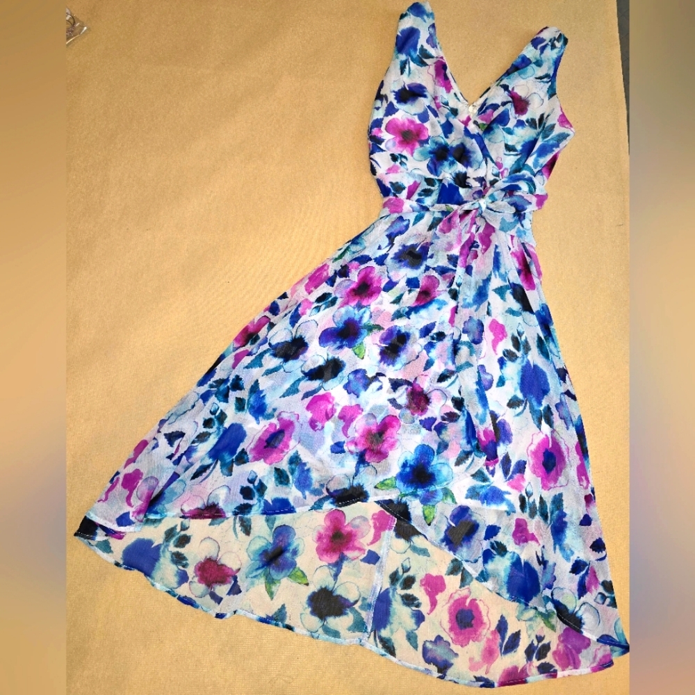 DKNY dress w/ matching earrings